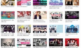 往期视频爆料合集怎么弄